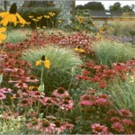 Bury Court Barn Gardens Bury Court Barn